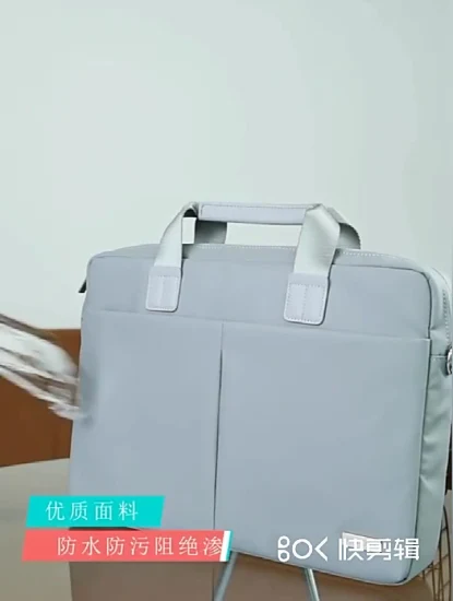Popular Design Handbags Shoulder Bag Sleeve Laptop Bag Case Notebook Bag (FRT3-315)